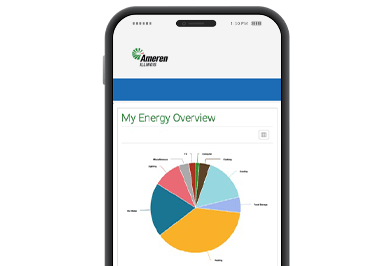 mobile mockup of my energy usage